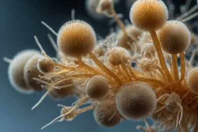 One-size-fits-all solutions don’t work when it comes to mycotoxins. Photos: Cargill