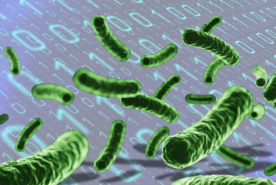 Scientists developed a digital model that predicted how the probiotic strains would behave and what the result would eventually be. Photo: Canva
