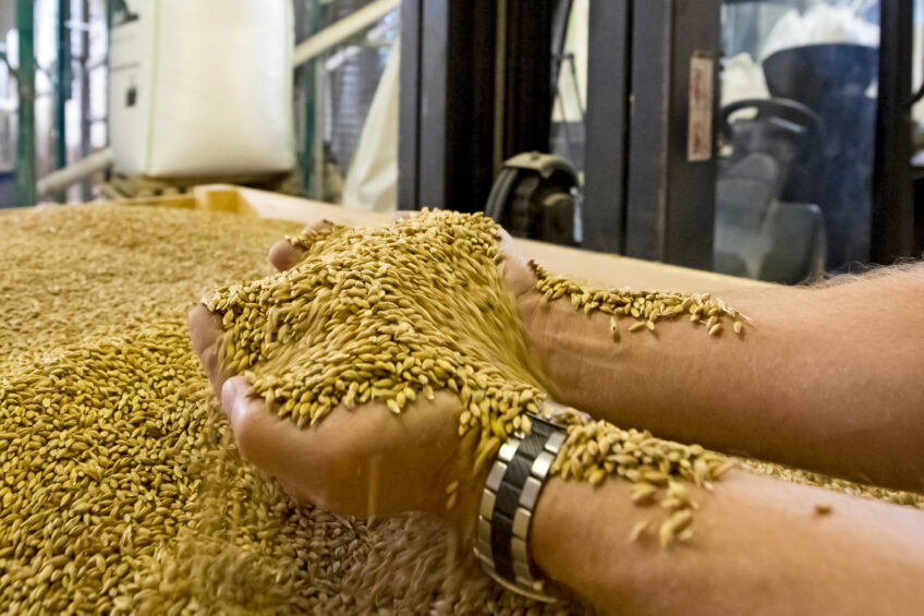 Proper raw material storage is an important factor in preserving the quality of feed and protecting it from damage by mould and other factors. Photo: Ruud Ploeg.