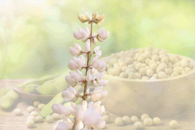 Photo: Canva