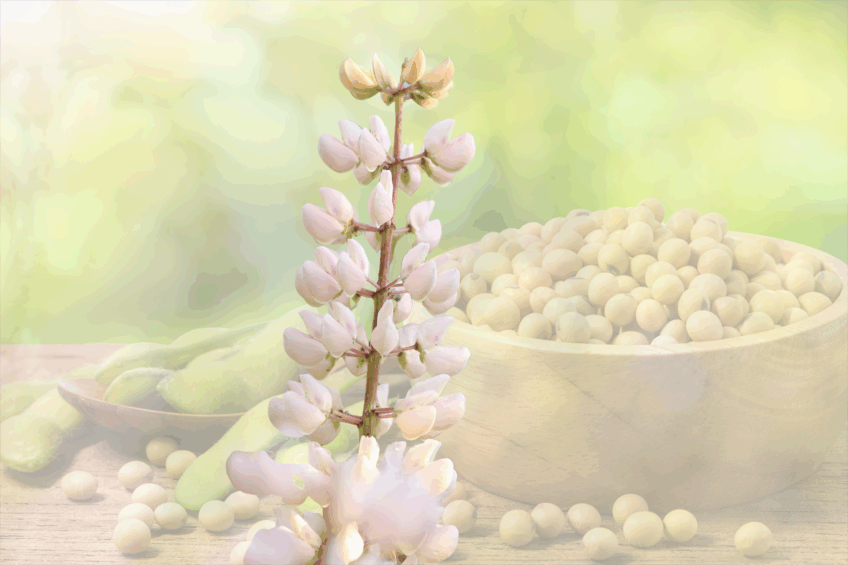 Photo: Canva
