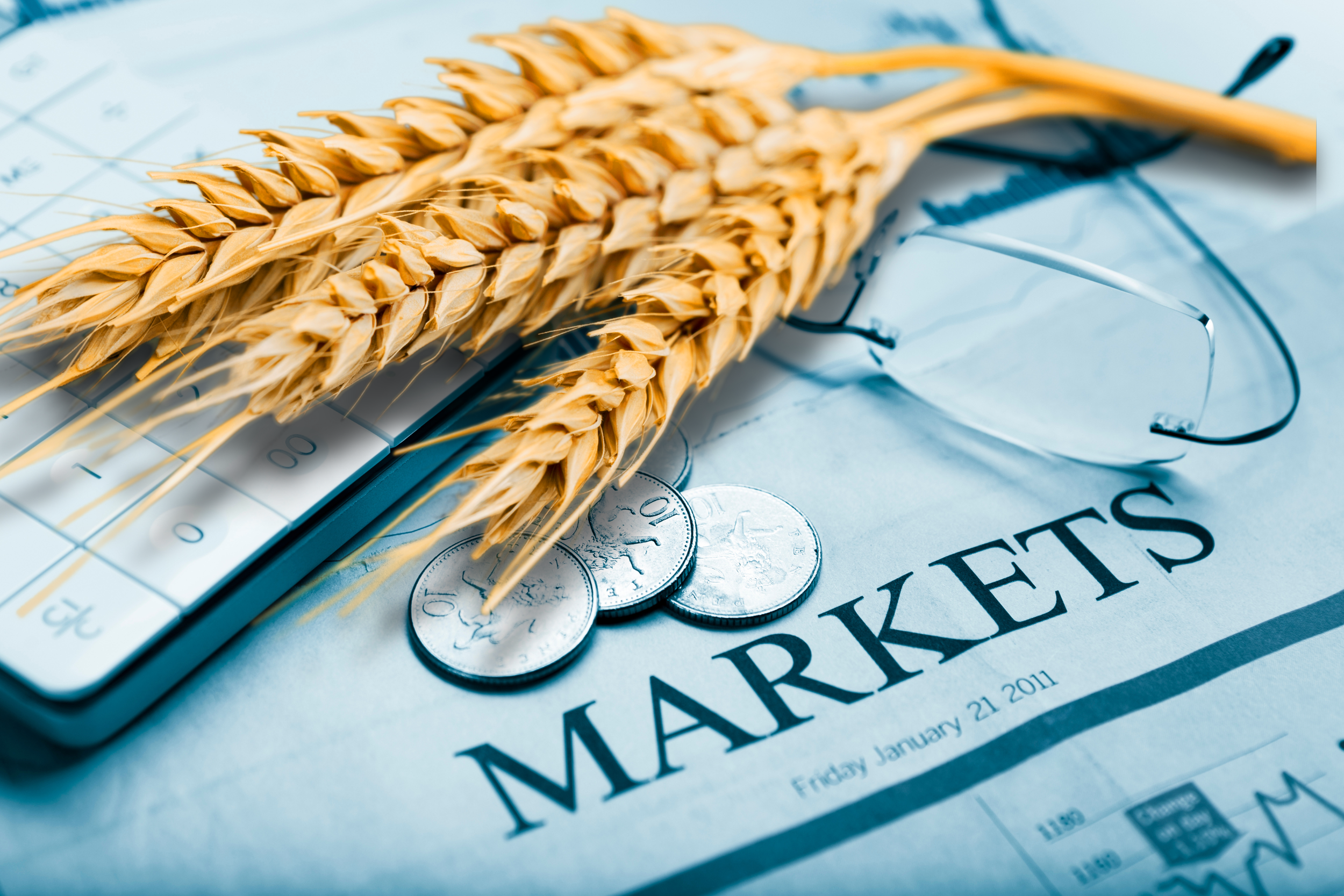 Wheat market shifts amid global surplus