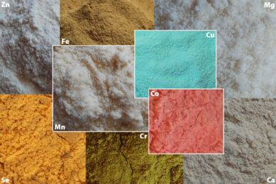 Selecting the best organic minerals cannot be done without considering economic efficiency. Photo: Olmix