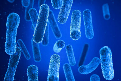 Photo: ANP