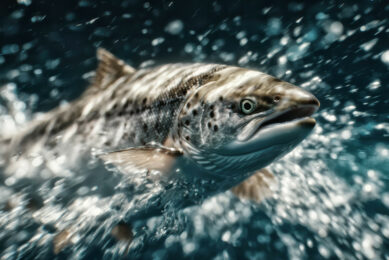 Functional feed components are reshaping the future of aquaculture nutrition. Photo: Bewital Agri
