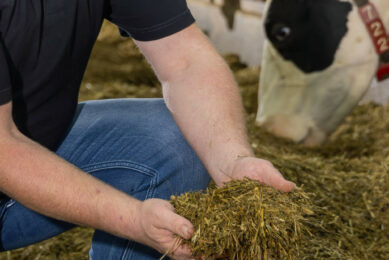Emissions from feed are the second largest contributor after enteric emissions. Photo: Koos Groenewold