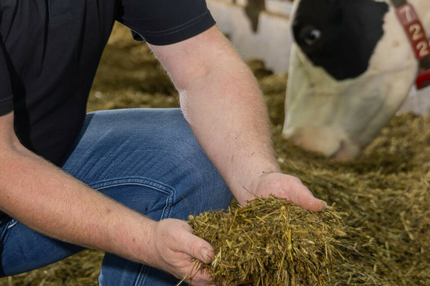 Emissions from feed are the second largest contributor after enteric emissions. Photo: Koos Groenewold