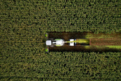 The challenge of mycotoxins is not going away, and producers cannot afford to rely on outdated or limited solutions. Photo: Alltech