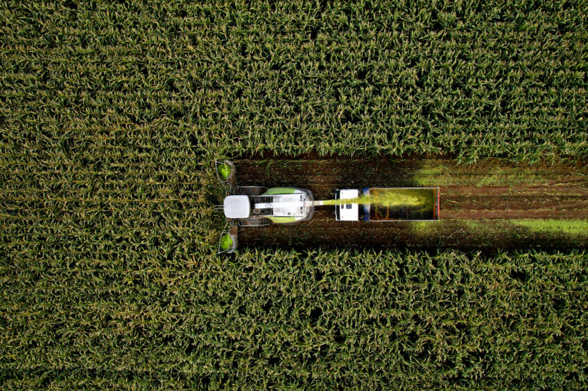 The challenge of mycotoxins is not going away, and producers cannot afford to rely on outdated or limited solutions. Photo: Alltech