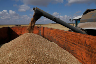 ( Farmers harvest grain in a farm in Turgen village, Akmola Region, Kazakhstan. Photo: ANP(Kalizhan Ospanov/Xinhua)
