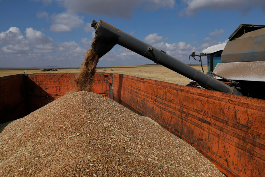 ( Farmers harvest grain in a farm in Turgen village, Akmola Region, Kazakhstan. Photo: ANP(Kalizhan Ospanov/Xinhua)