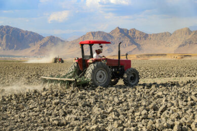 A farmer ploughs newly exposed land near Iraq’s Dukan Dam on June 4, 2025, where drought and upstream dams have drastically lowered water levels, revealing cracked shores in the Kurdistan region. Photo: ANP ( Shwan MOHAMMED / AFP)