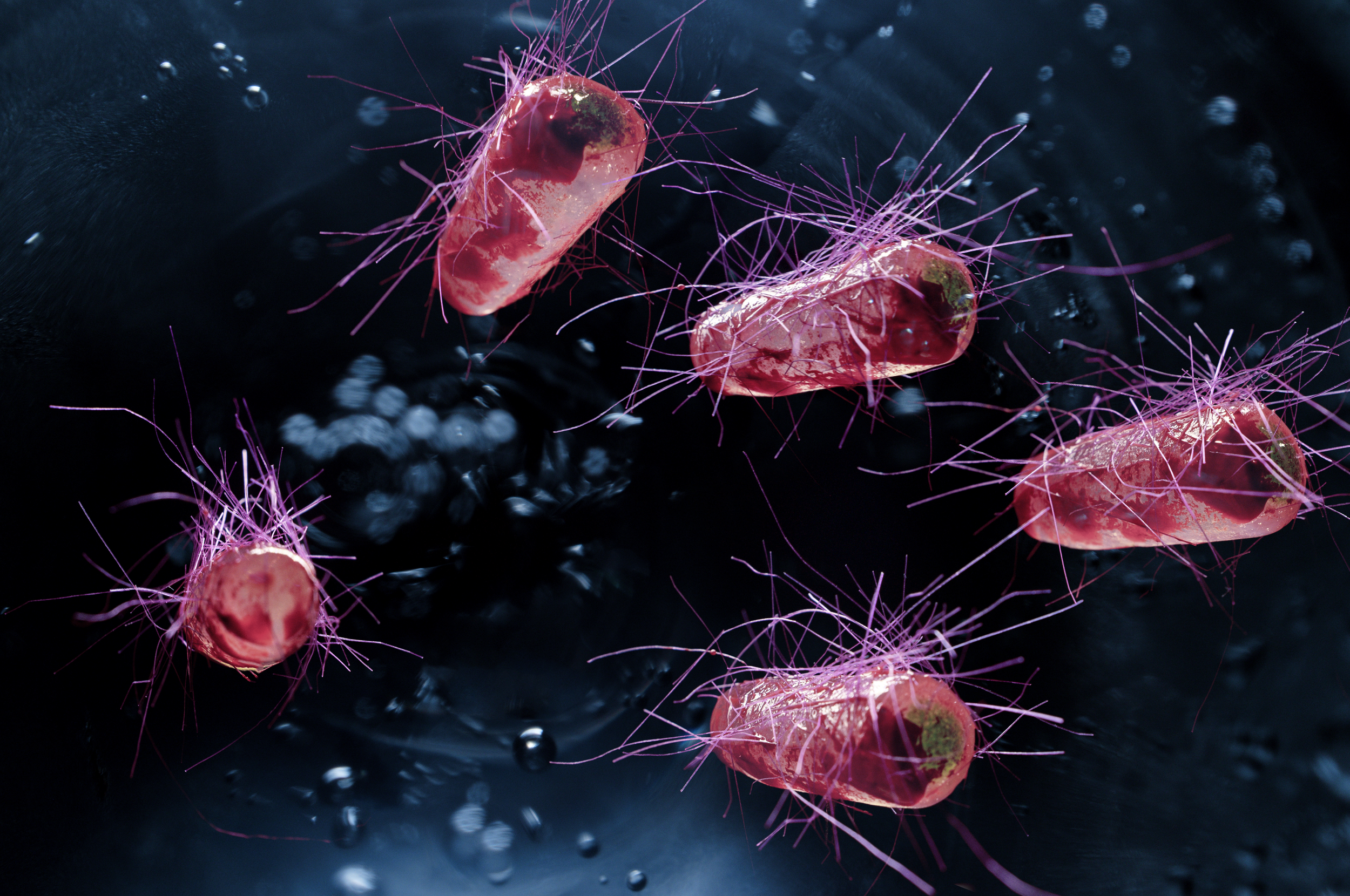 Strength in structure: A new perspective on pathogen binding