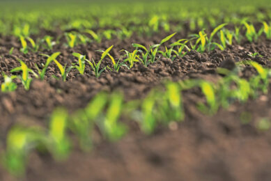 Photos: Alltech