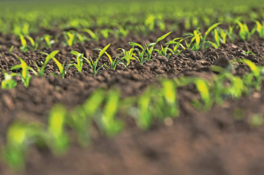 Photos: Alltech