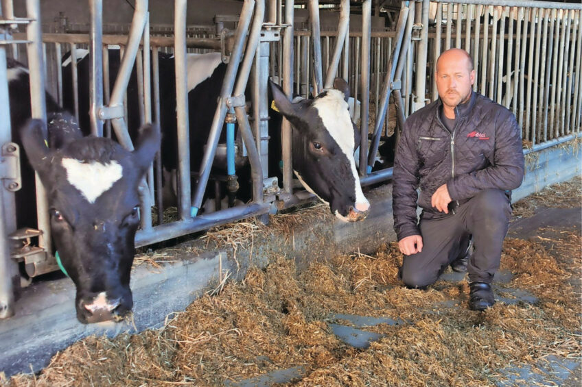 Huibert van Dorp milks 600 cows, Denmark. Photo: Van Dorp family