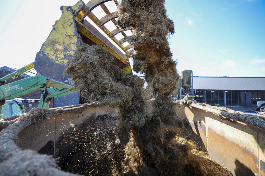 Concerns rise over Bovaer after cow health issues in Denmark