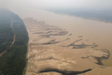 Aerial photograph showing sandbanks formed by the historic low of the Madeira River, in Porto Velho, Brazil 10 September 2024. The largest tropical forest on the planet is currently facing an extreme drought. Photo: ANP (EPA/Isaac Fontana)