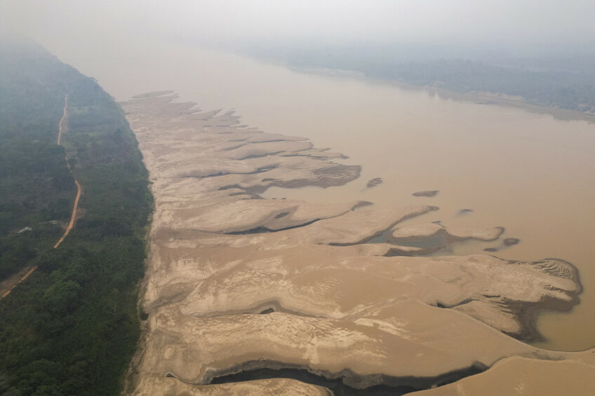Aerial photograph showing sandbanks formed by the historic low of the Madeira River, in Porto Velho, Brazil 10 September 2024. The largest tropical forest on the planet is currently facing an extreme drought. Photo: ANP (EPA/Isaac Fontana)