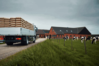 Image: Reve AI