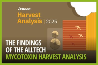 VIDEO: Delving into the finesse of the Alltech Mycotoxin Harvest Analysis