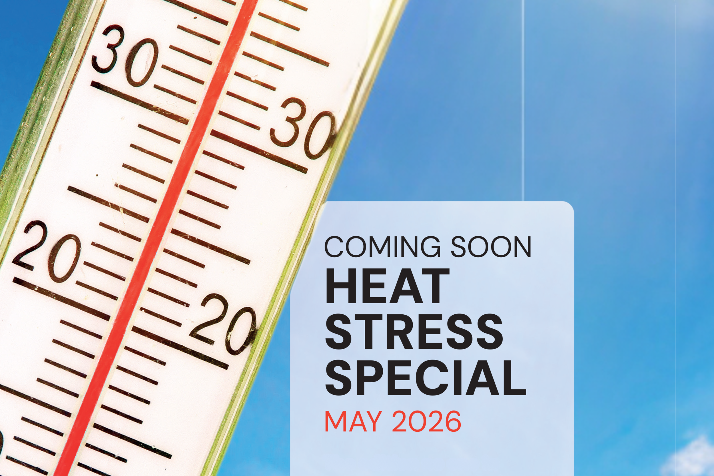 Heat stress special: Coming soon