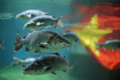 Image generated by Reve AI