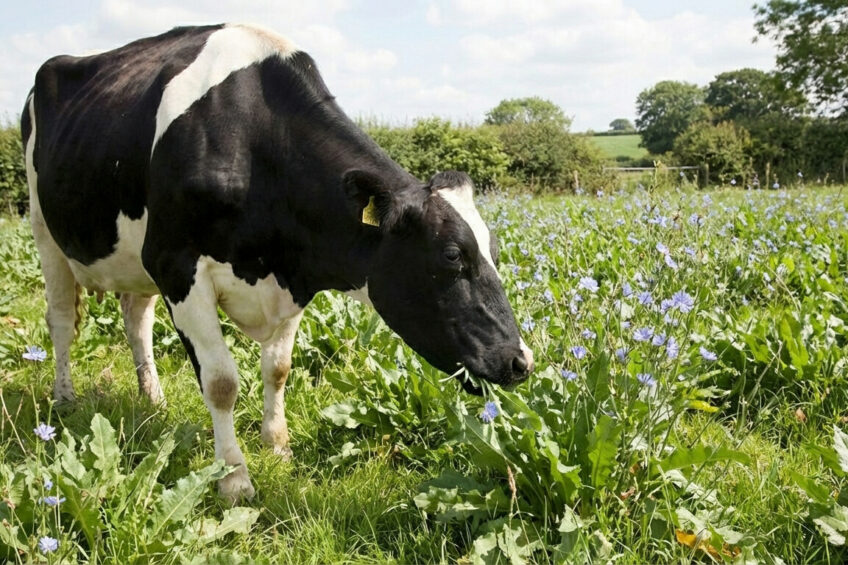 AI generated image