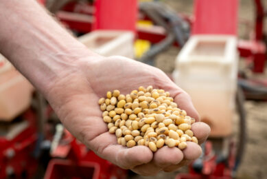 Globally, more than 300 million tonnes of soybeans are produced each year. The bulk of soybean production (80%) takes place in Argentina, Brazil and the United States. Photo: Cor Salverius Fotografie