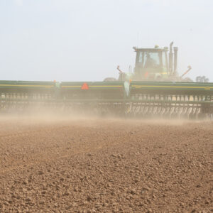 Global wheat prices climb on forecasts of shrinking future stocks