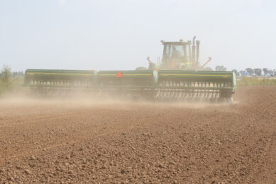 Global wheat prices climb on forecasts of shrinking future stocks