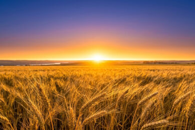 On the horizon: A new hub for global agri-food expertise
