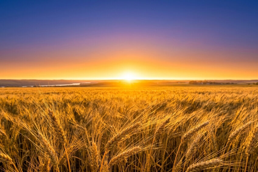 On the horizon: A new hub for global agri-food expertise