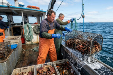 Lobster and crab bait supports broader crustacean populations